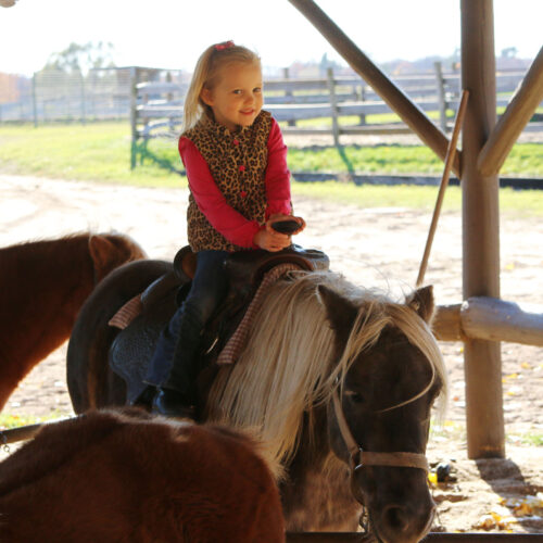 Little Girl Riding A Horse